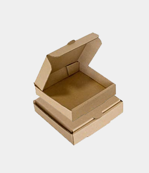 bolsa kraft pan